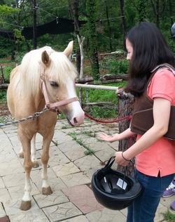 메인사진