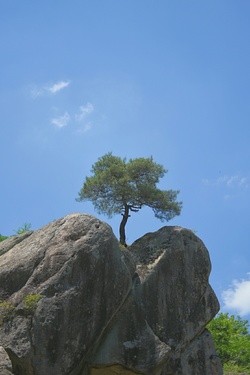 메인사진