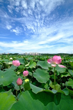 메인사진