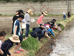 메인사진