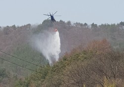 메인사진