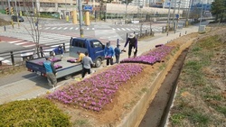 메인사진