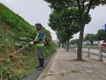 메인사진