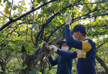 메인사진