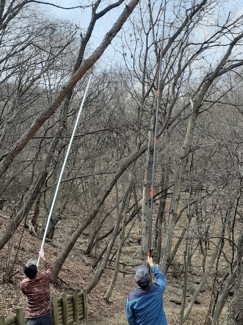 메인사진