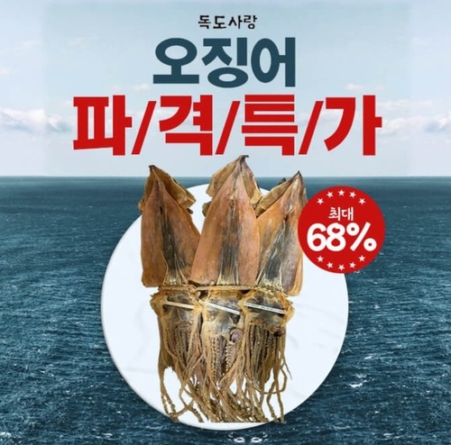 메인사진