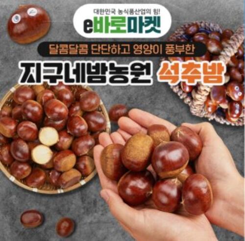 메인사진