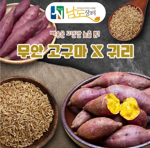 메인사진