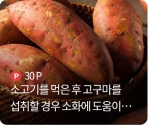 메인사진