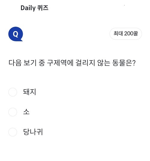 메인사진