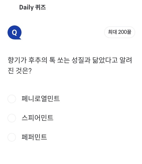 메인사진