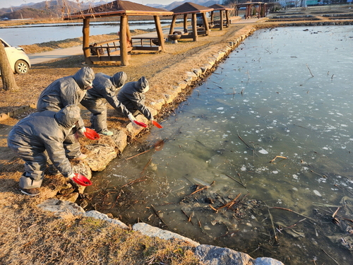 메인사진